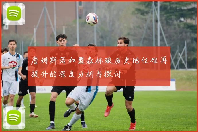 詹姆斯若加盟森林狼历史地位难再提升的深度分析与探讨
