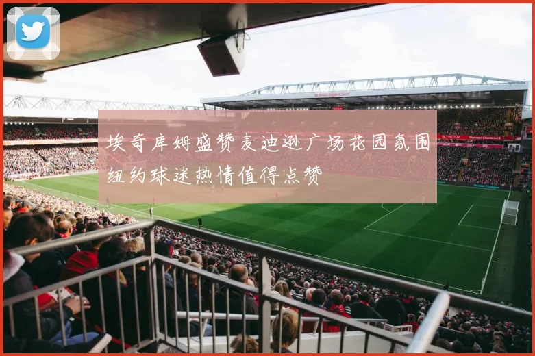 埃奇库姆盛赞麦迪逊广场花园氛围纽约球迷热情值得点赞